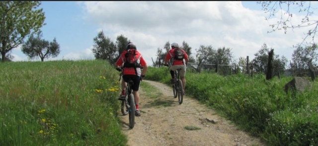  蒙塔尔巴诺之旅 